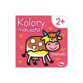 Kolory maluszka zwierzęta AWM WYDAWNICTWO