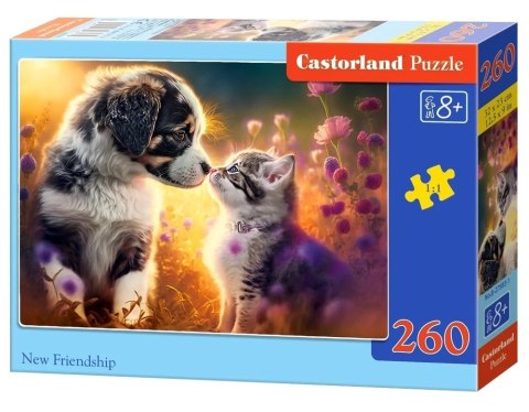 PUZZLE 260 EL. NEW FRIENDSHIP CASTOR