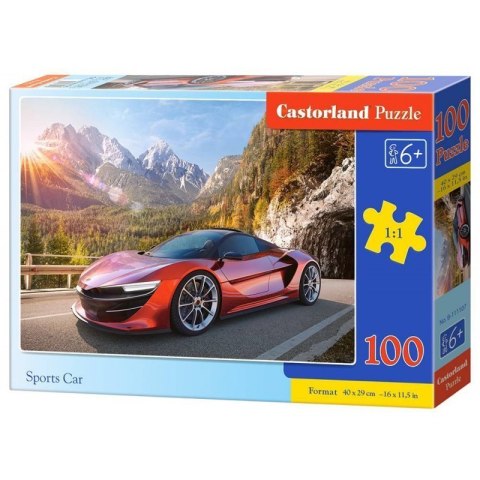Puzzle 100 sports car CASTOR