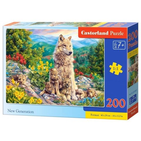 Puzzle 200 new generation CASTOR