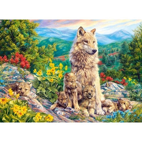 Puzzle 200 new generation CASTOR