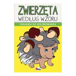 Zadania do kol. zwierzęta AWM WYDAWNICTWO
