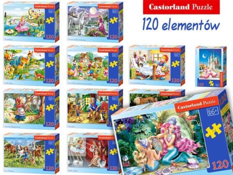 Puzzle 120el BALLET CLASS B-13036-1