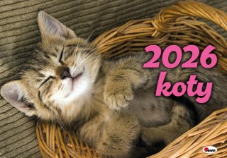 Kalendarz 2026 albumowy Koty