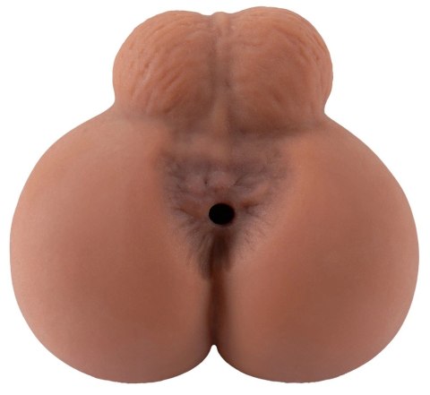Realistixxx RealGay model anatomiczny, elastyczny TPE 16 cm