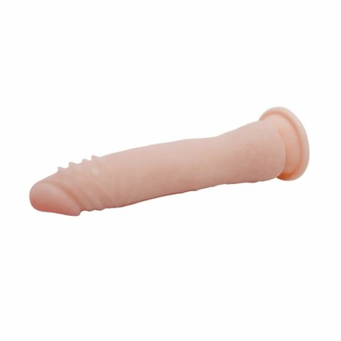 Baile Fit model anatomiczny TPR 20,1 cm system kręgowcow