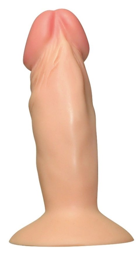 You2Toys Model anatomiczny z przyssawką PVC 11,5 cm - kompaktowy rozmiar