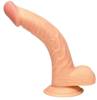 NMC Zakrzywiony Model Anatomiczny z Żyłkowaniem 19cm PVC