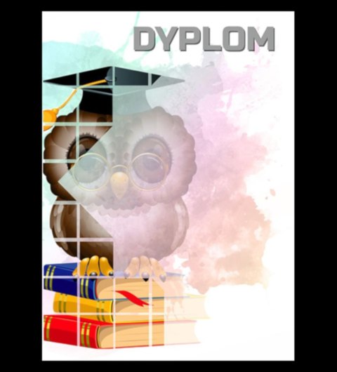 Dyplom papierowy - sowa (25 szt.) DYP157