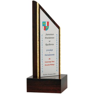 Trofeum z tworzywa sztucznego grawerowane
