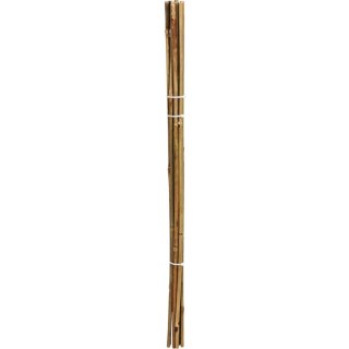 PODPORA DO ROŚLIN 60cm BAMBUS 10SZT PROGARDEN