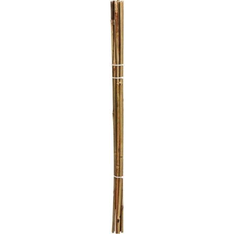 PODPORA DO ROŚLIN BAMBUSOWA TYCZKA 116 CM 10SZT PROGARDEN