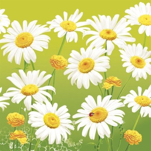 Serwetki 33 x 33 cm Lovely Marguerites on Green 86-61