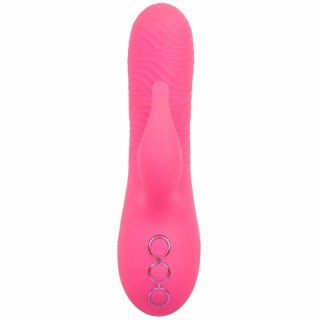 CalExotics Sacramento Sweetie Kalifornijski Wibrator Krolik Rożowy USB