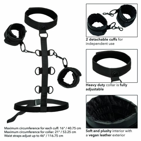 CalExotics Boundless Collar - system z kołnierzem i mankietami, regulowany