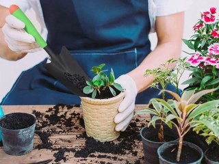 Łopatka ogrodowa do sadzenia przesadzania roślin do pikowania szpadelek 11424