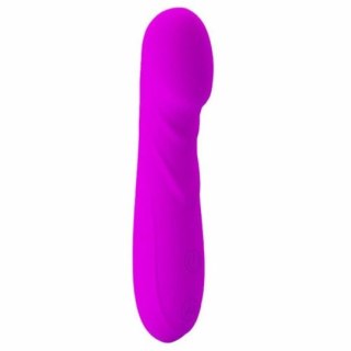 Pretty Love Reuben Mini Wibrator Punkt G 30 Trybow USB Silikonowy
