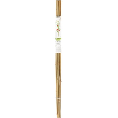 PODPORA DO ROŚLIN BAMBUSOWA TYCZKA 116 CM 10SZT PROGARDEN