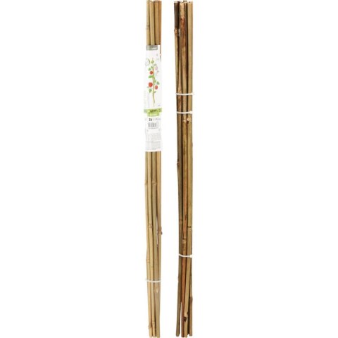 PODPORA DO ROŚLIN BAMBUSOWA TYCZKA 78 CM 10SZT PROGARDEN