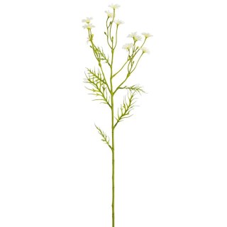 STOKROTKA BIAŁA 71CM MICA - BIAŁA