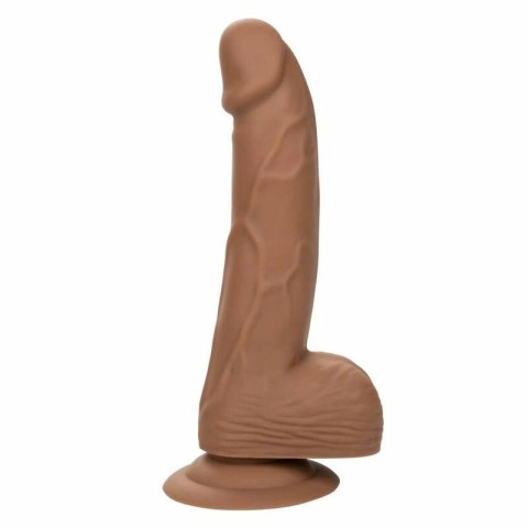 CalExotics Model Silikonowy 15,2 cm brązowy z przyssawką