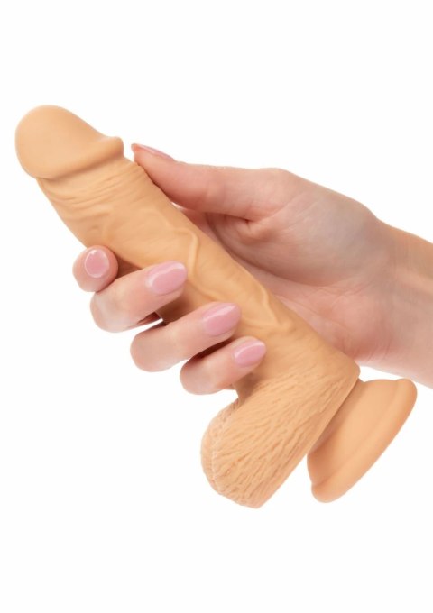 CalExotics Dual Density Silicone Stud 5" model z przyssawką, silikonowy