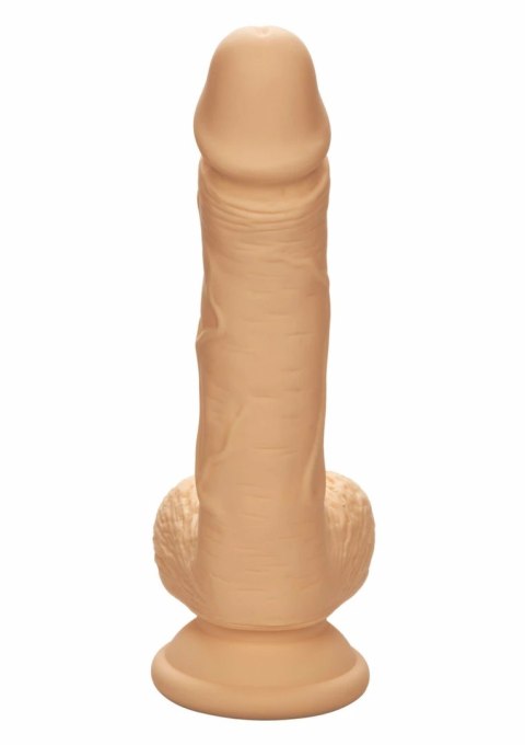 CalExotics Dual Density Silicone Stud 5" model z przyssawką, silikonowy