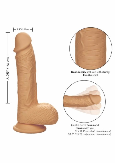 CalExotics Dual Density Silicone Stud 6.25" anatomiczny silikonowy model
