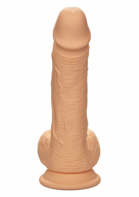CalExotics Dual Density Silicone Stud 6.25" anatomiczny silikonowy model