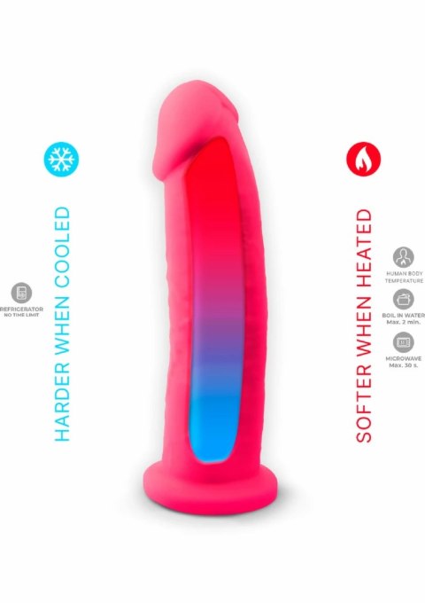 Silex-D Model 2 9" silikonowy model anatomiczny z przyssawką