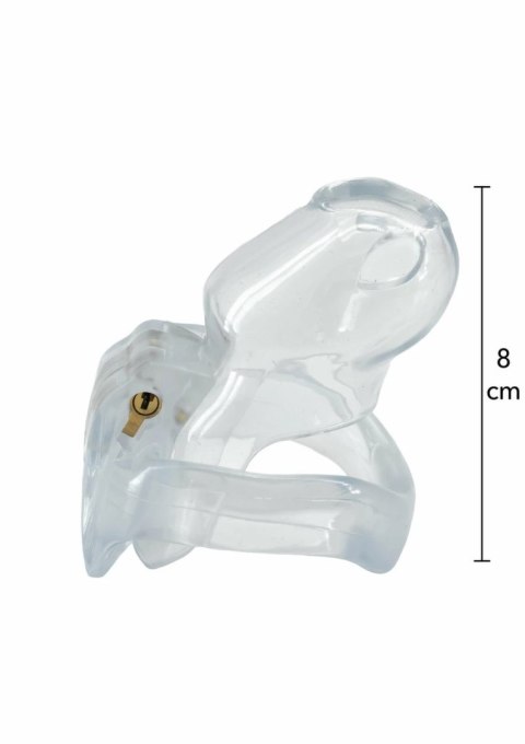 HIDDEN DESIRE Clear Control Cock Cage Regular - przezroczysty system kontroli, rozmiar Regular