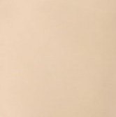 SEAMLESS COTTON STRINGI THONG L light nude