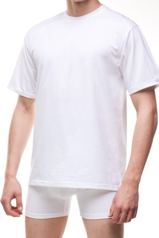 KOSZULKA AUTHENTIC 202 PLUS M biały