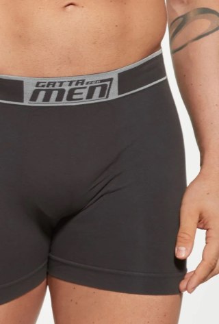 BOKSERKI BOXER COTTON L titanium 2