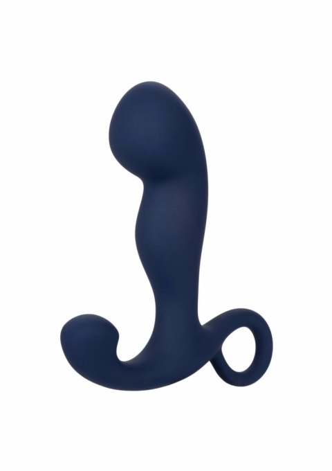 CalExotics Viceroy Rechargeable Command Probe silikonowy model z funkcją wibracji