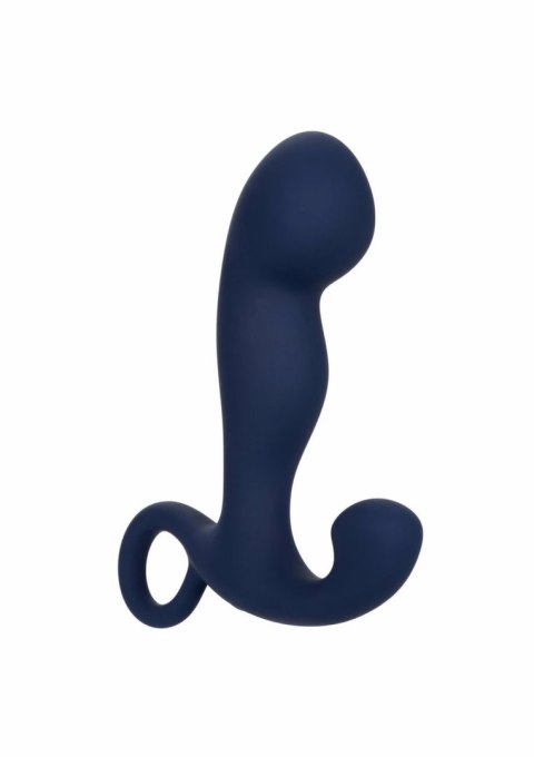 CalExotics Viceroy Rechargeable Command Probe silikonowy model z funkcją wibracji