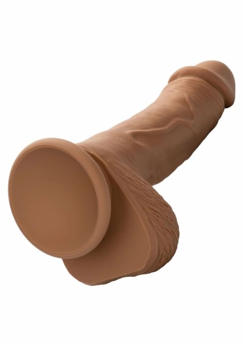 CalExotics Dual Density Silicone Stud 5" anatomiczny model z przyssawką