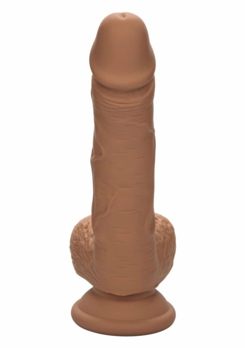 CalExotics Dual Density Silicone Stud 5" anatomiczny model z przyssawką