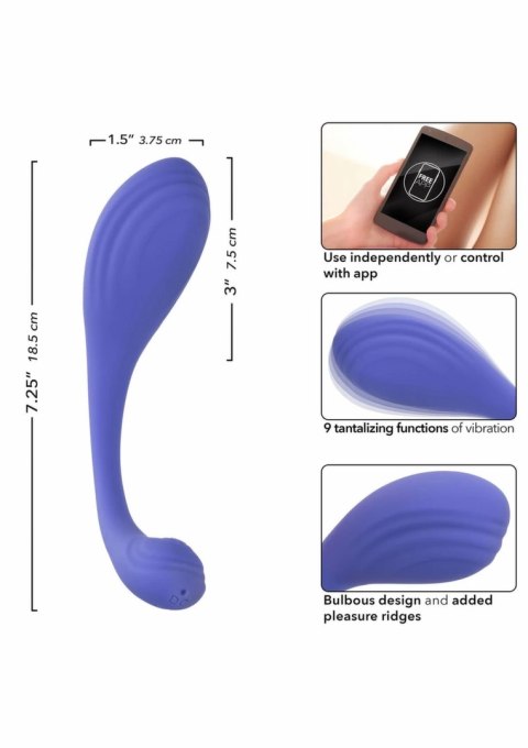 CalExotics Connect Kegel Exerciser silikonowy trenażer mięśni Kegla z aplikacją