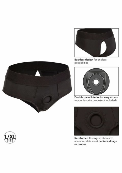 CalExotics Her Royal Harness Backless Brief L/XL - komfortowy pas intymny