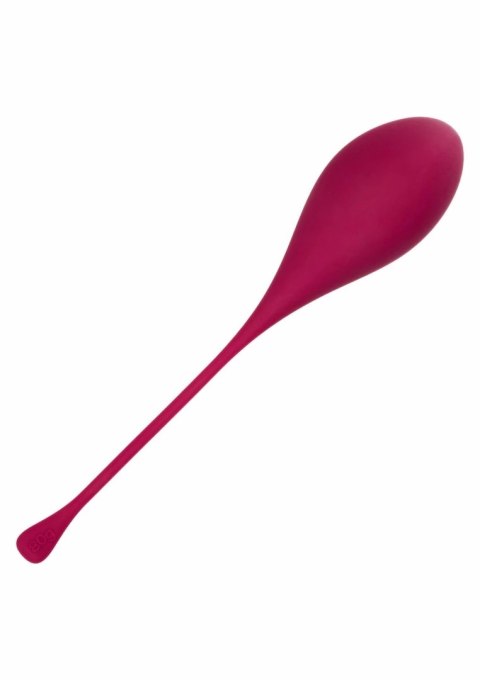 CalExotics Kegel Training 5 pcs - zestaw do ćwiczeń mięśni dna miednicy