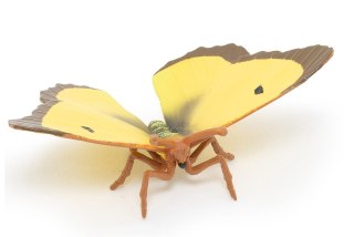 Figurka kolekcjonerska Motyl Szlaczkoń sylwetnik, Papo